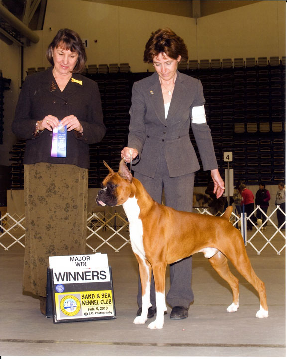 Sand and Sea Kennel Club